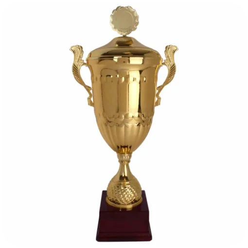 Gouden wisseltrofee van Nederlanders in Malta voor de winnaar van een NIM-activiteit